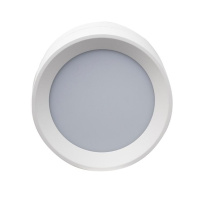 Влагозащищенный светильник LeDron BARREL MINI White в интернет магазине Гет Лайт