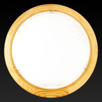 Купить Накладной светильник TOPLIGHT TL9144Y-02PN