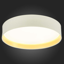 Купить с доставкой по Москве и России Накладной светильник Evoluce SLE300552-01