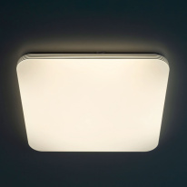 Купить с доставкой по Москве и России Накладной светильник Citilux CL714K680G