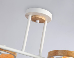 Купить с доставкой по Москве и России Люстра на штанге Ambrella Light TR8247