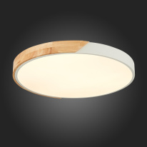 Купить Накладной светильник Evoluce SLE200952-01