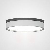 Фото Накладной светильник ImperiumLoft 101707-26