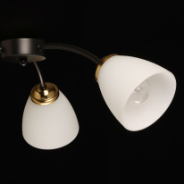 Купить с доставкой по Москве и России Накладная люстра DeMarkt 676016903