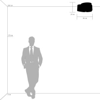 Купить с доставкой по Москве и России Накладная люстра Lightstar 811032