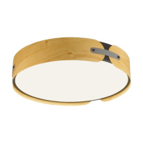 Купить с доставкой по Москве и России Накладной светильник Sonex 7721/65L