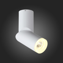 Спот ST-Luce ST107.502.10 в интернет магазине Гет Лайт