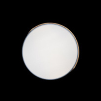 Купить с доставкой по Москве и России Накладной светильник LOFT IT 10004/36 Grey