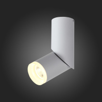 Купить Спот ST-Luce ST107.502.10