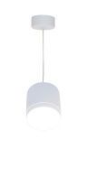 Подвесной светильник Maytoni Technical P088PL-GX53-W Фото Подвесной светильник Maytoni Technical P088PL-GX53-W