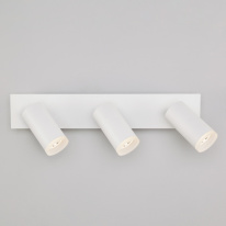 Фото Спот Eurosvet 20067/3 LED белый