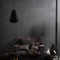 Купить с доставкой по Москве и России Подвесной светильник ImperiumLoft 151811-26