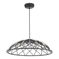 Купить Подвесной светильник ST-Luce SL6016.403.01