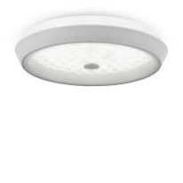 Накладной светильник Freya FR10012CL-L24W Фото Накладной светильник Freya FR10012CL-L24W
