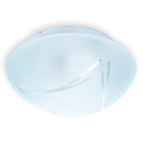 Фото Накладной светильник TOPLIGHT TL9440Y-02WH