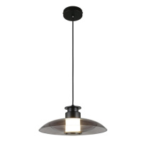 Фото Подвесной светильник APLOYT APL.648.06.10