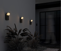 Купить с доставкой по Москве и России Светильник настенный Maytoni O446WL-L7GF3K