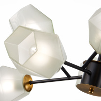 Купить Люстра на штанге Evoluce SLE205102-08