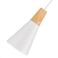 Купить Подвесной светильник Evoluce SLE125153-01