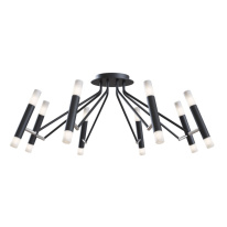 Фото Накладная люстра Maytoni MOD620CL-16B