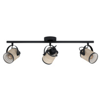 Фото Спот EGLO 43495