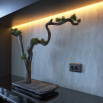 Купить Розетка Werkel W1172004