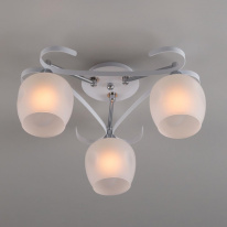 Цена на Накладная люстра Citilux CL171133