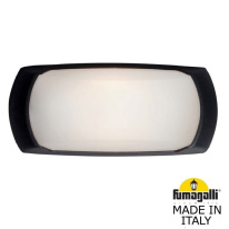 Фото Светильник настенный Fumagalli 2A1.000.000.AYF1R