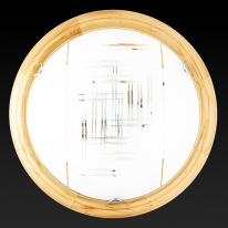 Купить Накладной светильник TOPLIGHT TL9153Y-02PN