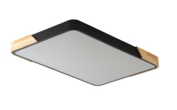 Купить с доставкой по Москве и России Накладной светильник Zortes ZRS.01233.60