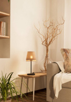 Настольная лампа EGLO 43977 в интернет магазине Гет Лайт