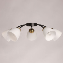 Купить Накладная люстра DeMarkt 676016805