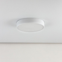 Купить с доставкой по Москве и России Накладной светильник Citilux CL72424V0