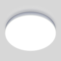 Фото Накладной светильник Elektrostandard DLR043 10W 4200K