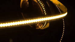 Купить Лента SWG SWG4240-12-24-WW-M