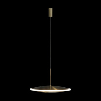 Купить с доставкой по Москве и России Подвесной светильник LOFT IT 10036/300