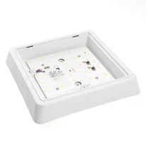 Купить с доставкой по Москве и России Накладной светильник Feron 41776