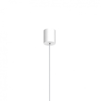 Цена на Подвесной светильник Favourite 2325-2P