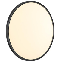 Купить с доставкой по Москве и России Накладной светильник Sonex 7660/48L