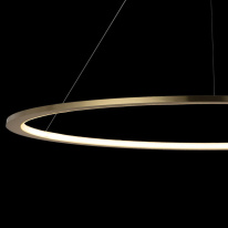 Купить с доставкой по Москве и России Подвесной светильник LOFT IT 10014XXL