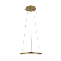 Купить Подвесной светильник LOFT IT 10014S