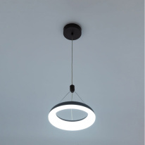 Купить с доставкой по Москве и России Подвесной светильник Citilux CL225B115