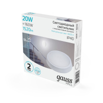 Офисный светильник Gauss 193411220-S в интернет магазине Гет Лайт