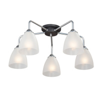 Фото Накладная люстра Vitaluce V4500-9/5PL