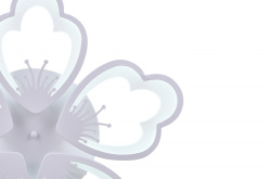 Накладная люстра Natali Kovaltseva LED LAMPS 81230 в интернет магазине Гет Лайт