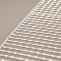 Купить Лента Arlight 027120(2)