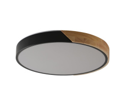 Накладной светильник Zortes ZRS.01287.72 Купить с доставкой по Москве и России Накладной светильник Zortes ZRS.01287.72