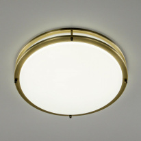 Цена на Накладной светильник Citilux CL709503N