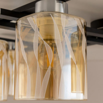 Купить с доставкой по Москве и России Накладная люстра Citilux CL145281