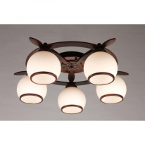 Купить с доставкой по Москве и России Накладная люстра Omnilux OML-50507-05